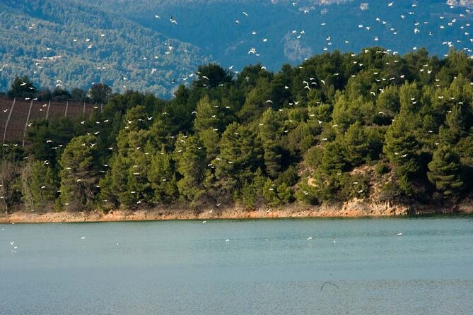 Half Day Marathon Private Tour - Tour Highlights