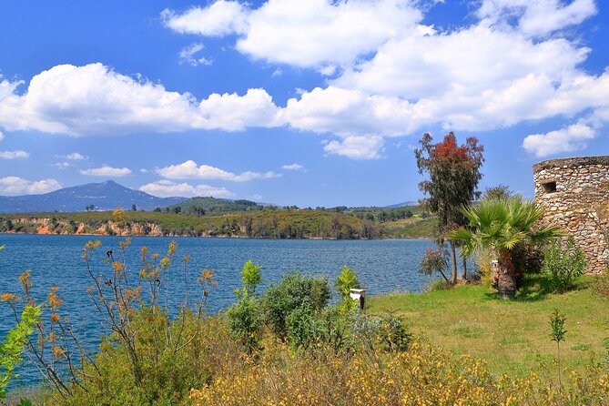 Half Day Marathon Private Tour - Inclusions