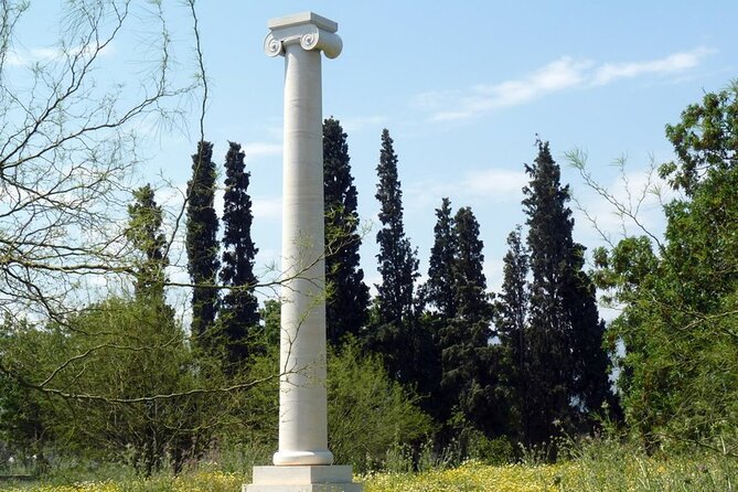 Half Day Marathon Private Tour - Reviews and Cancellation Policy