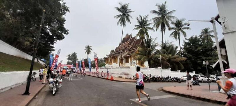 Half Day Mekong Cruise to Pak Ou Caves (Morning / Afternoon) - The Itinerary and What to Expect