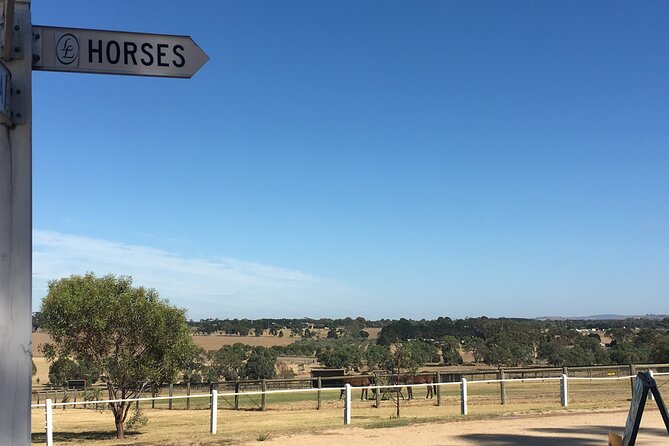Half-Day Melbourne Racehorse Encounter - Meeting and Pickup