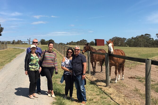 Half-Day Melbourne Racehorse Encounter - What To Expect