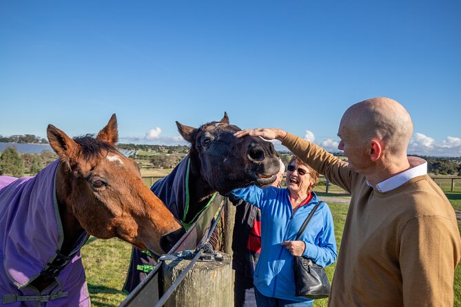 Half-Day Melbourne Racehorse Encounter - Half-Day Melbourne Racehorse Encounter 2024