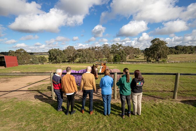 Half-Day Melbourne Racehorse Encounter - Common Questions