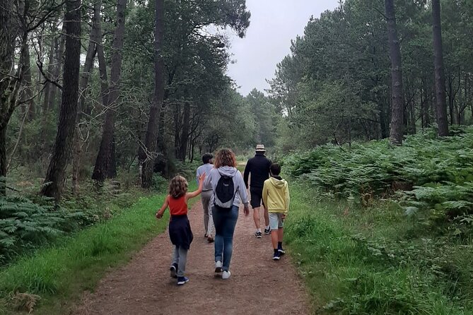 Half-Day MENHIR Secrets Experience Circuit - Tour Itinerary