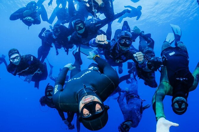 Half Day Mermaiding and Freediving in Tenerife - Meeting and Pickup Locations