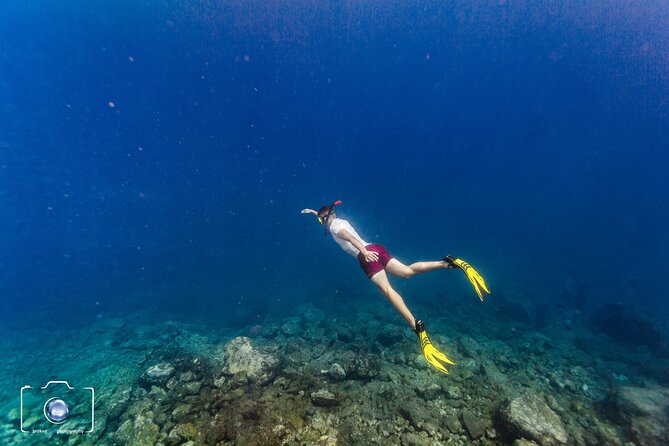 Half Day Mermaiding and Freediving in Tenerife - Start Time and Duration