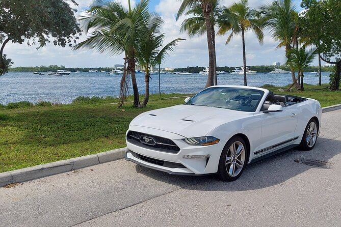 Half-Day Miami Tour by Convertible Mustang - Tour Highlights and Itinerary