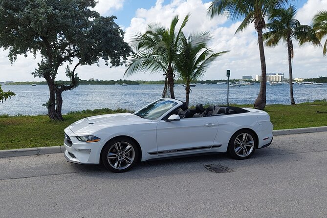 Half-Day Miami Tour by Convertible Mustang - Vehicle Details and Features