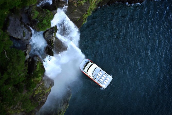 Half-Day Milford Sound Flight and Cruise From Queenstown - Positive Reviews and Experiences
