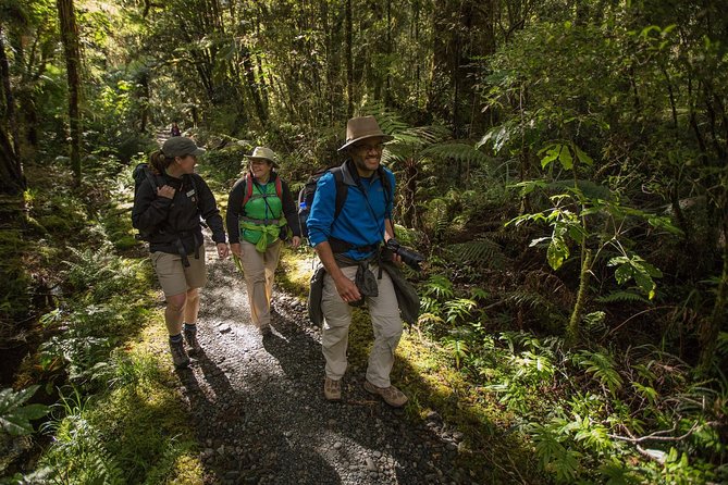 Half-Day Milford Track Guided Hiking Tour - Tour Details