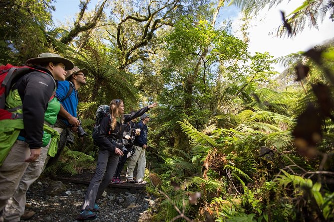 Half-Day Milford Track Guided Hiking Tour - Reviews