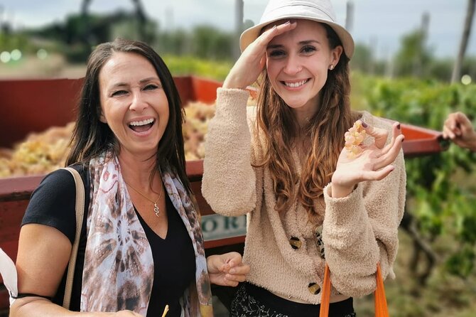 Half-Day Minardi Wine and Food Tour in Frascati - Cancellation Policy