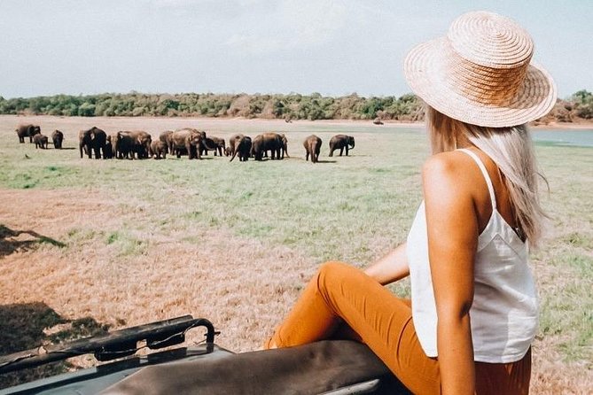 Half Day Minneriya National Park Safari From Habarana - Important Recommendations
