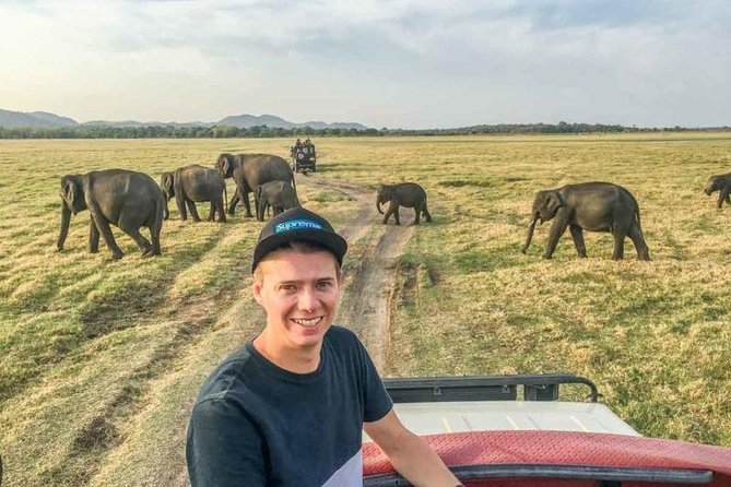 Half Day Minneriya National Park Safari From Sigiriya - Tour Inclusions
