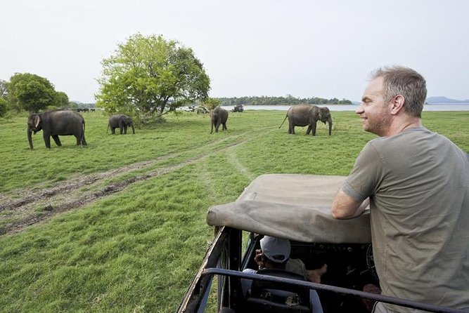 Half Day Minneriya National Park Safari From Sigiriya - Customer Reviews