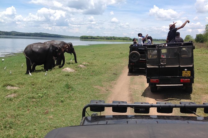 Half Day - Minneriya National Park Safari Tour From Habarana/Sigiriya - Directions for Pickup