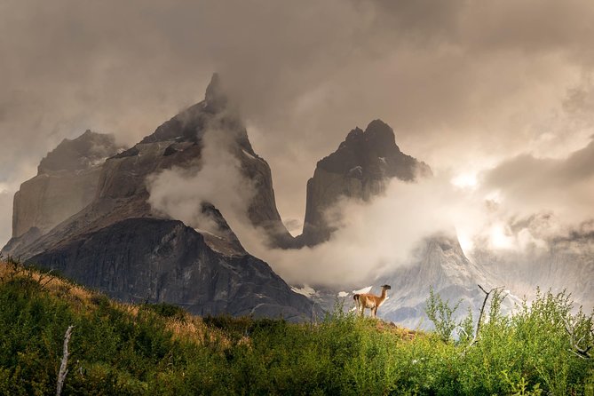 Half Day Mirador Cuernos Del Paine (Minimum 2 People) - Cancellation Policy