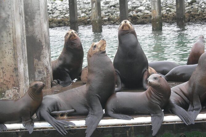 Half Day Monterey Peninsula Sightseeing Tour - Final Thoughts