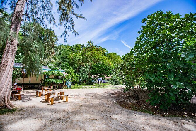 Half-Day Morning Bamboo Island Tour from Phi Phi by Longtail Boat - Who Should Consider This Tour?