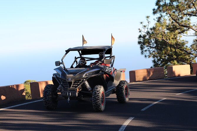 Half Day Morning Buggy Tour in Teide National Park - Things to Bring