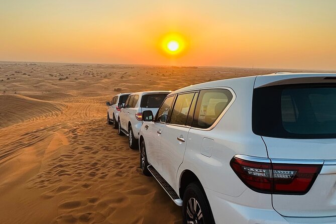 Half-Day Morning Desert Safari in Dubai - Desert Safari Highlights