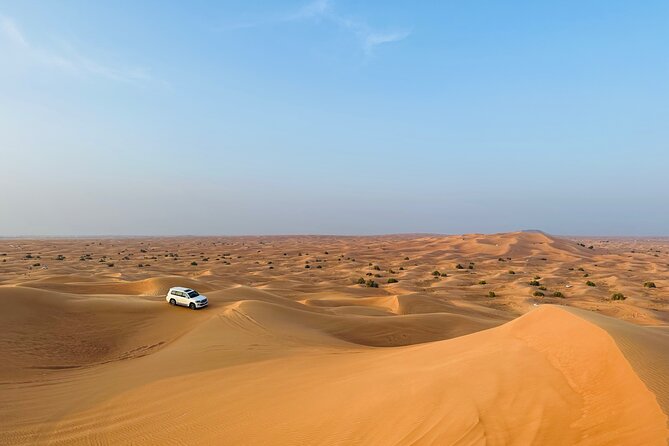 Half-Day Morning Desert Safari in Dubai - Common Questions