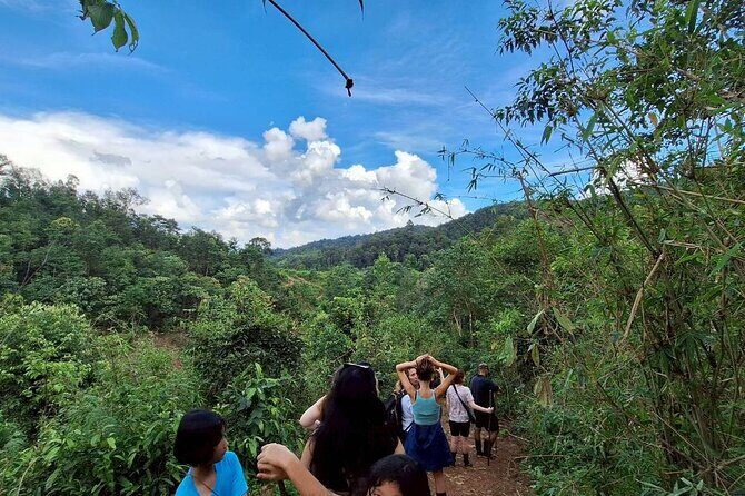 Half Day Morning Elephant Observation Tour in Chiang Mai - Good To Know