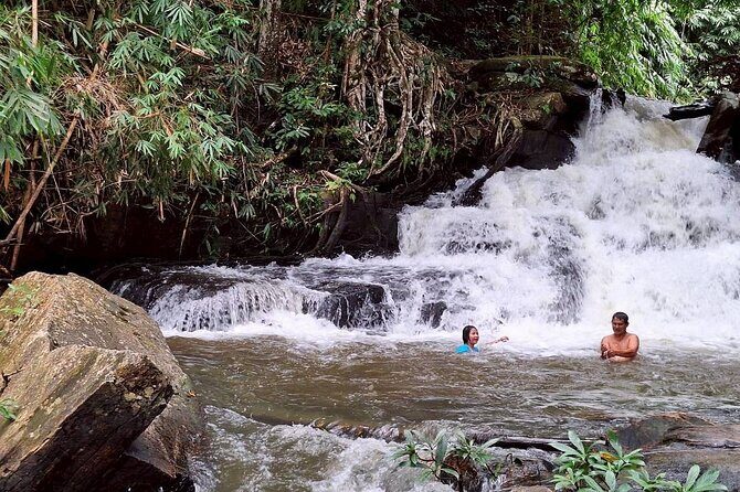 Half Day Morning Elephant Observation Tour in Chiang Mai - The Real-World Experience: Insights from Reviewers