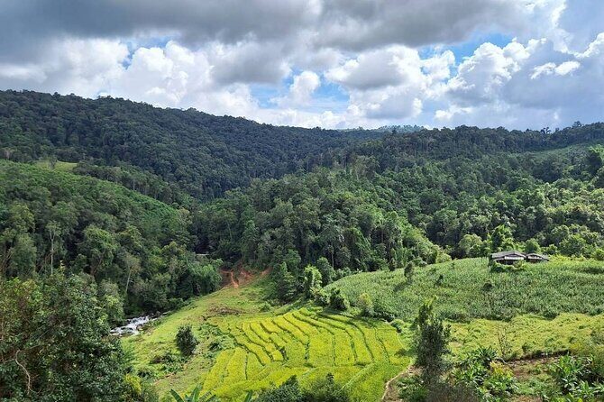 Half Day Morning Elephant Observation Tour in Chiang Mai - FAQ