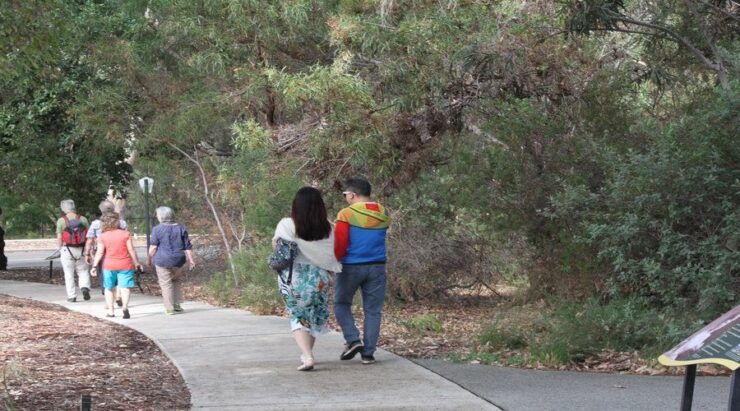 Half-Day Morning Perth & Fremantle City Explorer - Tour Details