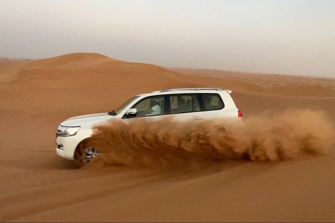 Half Day Morning Safari With Quad Bike and Camel Ride - Safari Itinerary and Highlights