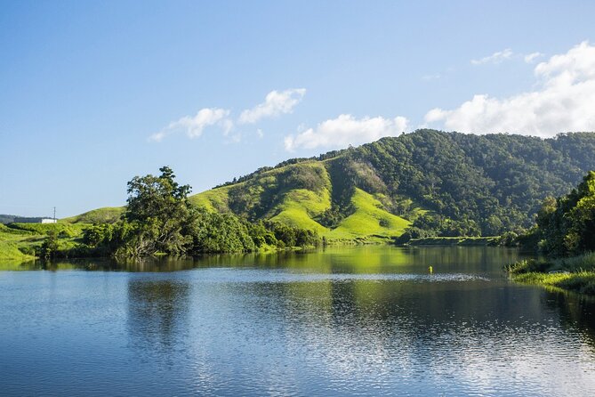 Half-Day Morning Tour of Cassowary Falls  - Port Douglas - Tour Details