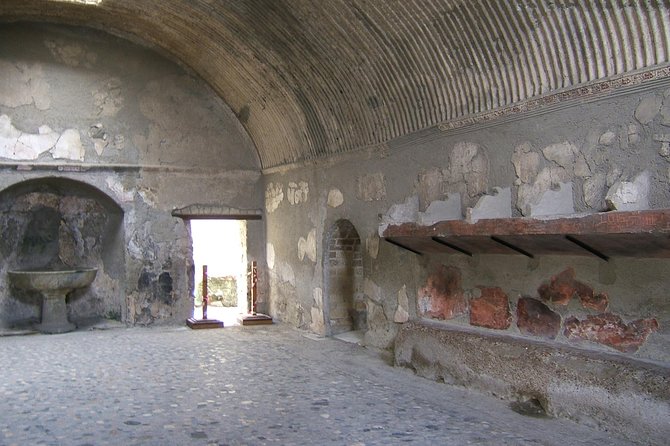 Half Day Morning Tour of Herculaneum From Sorrento - Additional Information