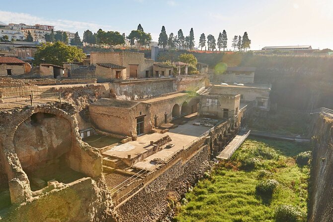 Half Day Morning Tour of Herculaneum From Sorrento - Directions