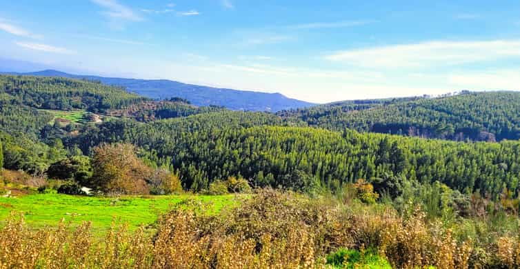 Half-Day Mountain Jeep Safari with firewater tasting - What to Expect on the Jeep Safari