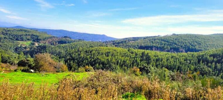 Half-Day Mountain Jeep Safari with firewater tasting - The Value Proposition