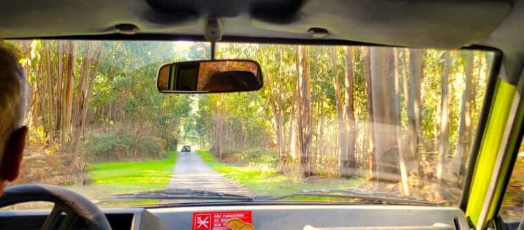 Half-Day Mountain Jeep Safari with firewater tasting - Who This Tour Suits Best