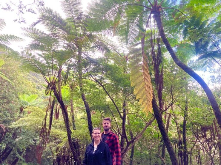 Half-Day Mt.Yuwandake and Materia Waterfall Excursion - Experience Highlights