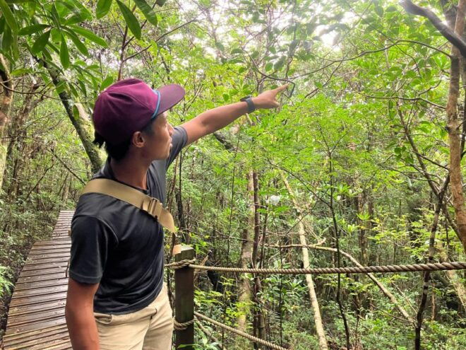 Half-Day Mt.Yuwandake and Materia Waterfall Excursion - Pickup and Transportation