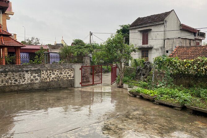 Half Day: Mua Cave - Hoa Lu Ancient Capital and Food Tour - What You’re Getting for $59