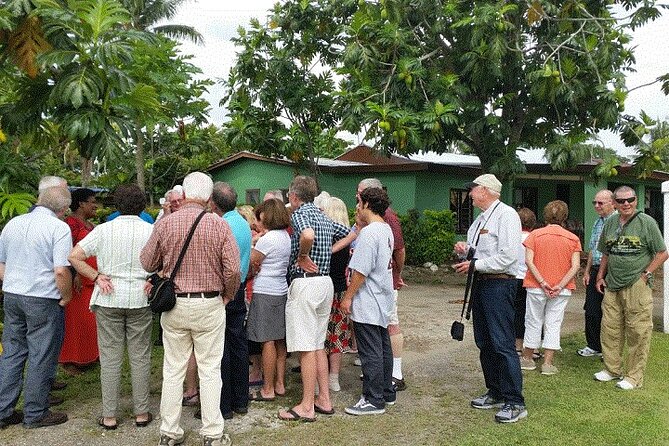 Half Day Mudpools, Veseisei Fijian Village, Gardens of Sleeping Giants &Shopping - Scenic Beauty and Nature Exploration