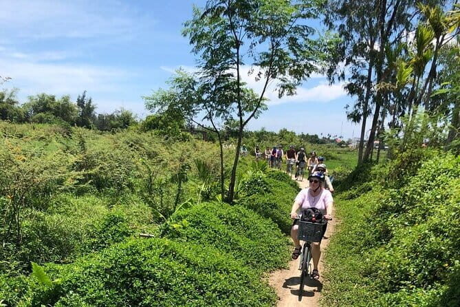 Half-Day My Son Sanctuary Bike Tour from Hoi An - Introduction