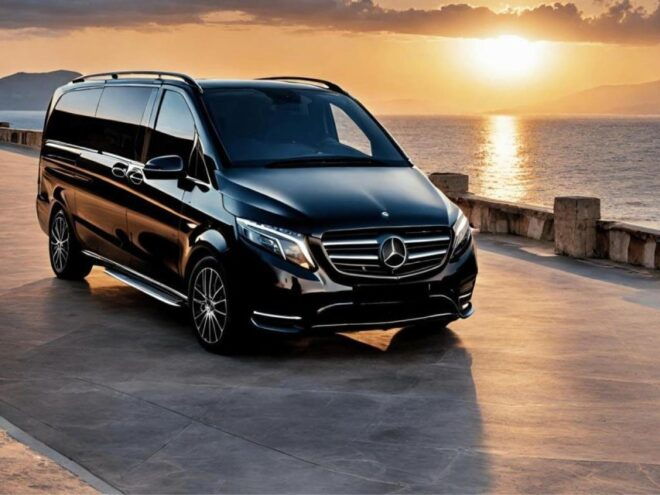 Half Day Mykonos Tour With Mini Van - Private Group Options