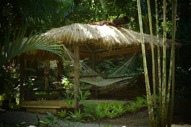 Half Day Nadi Tour: Mud Pools, Sleeping Giant Garden, Markets, Temple & Shopping - Reviews and Ratings