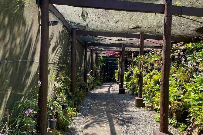 Half Day Nadi Tour Temple, Market, Gardens and Mud Pools - Authentic Experiences & Insights from Reviewers