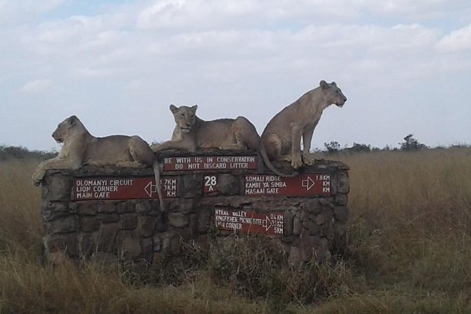Half Day Nairobi National Park - Tour Overview