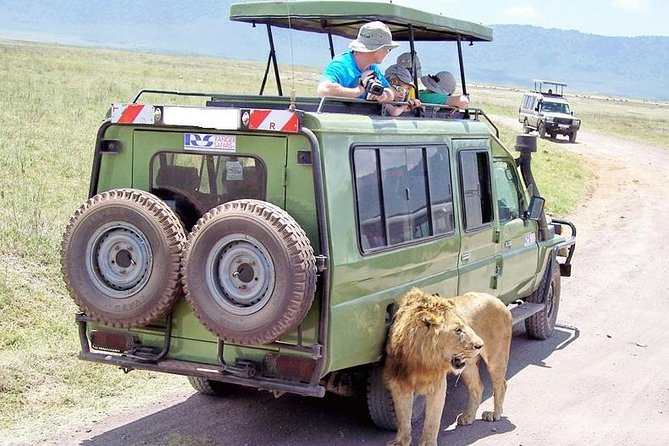 Half Day Nairobi National Park Guided Tour From Nairobi - Inclusions and Exclusions