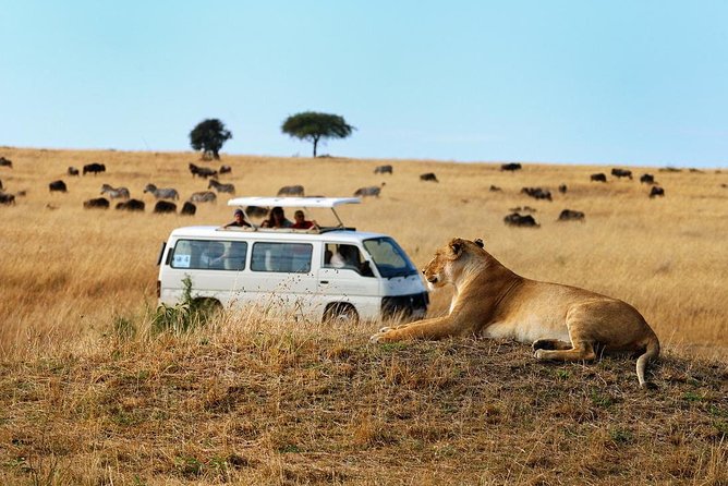 Half Day Nairobi National Park Guided Tour From Nairobi - Booking Details