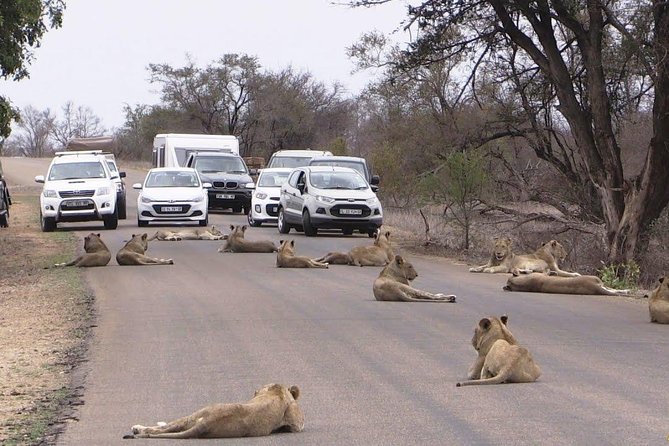 Half Day Nairobi National Park Guided Tour From Nairobi - Tour Logistics